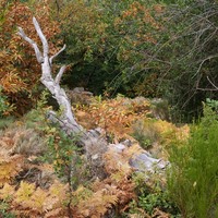 Photo de France - La randonnée des Gorges d'Héric